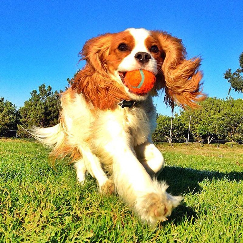 43 most touching Instagrams of 2013 43 most touching Instagrams of 2013