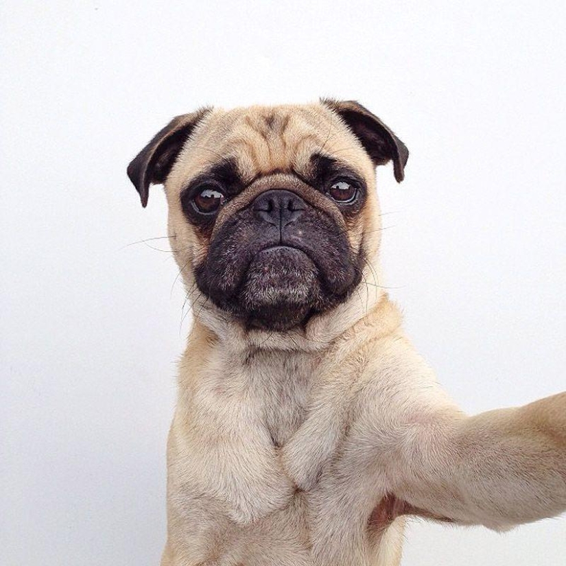 43 most touching Instagrams of 2013 43 most touching Instagrams of 2013