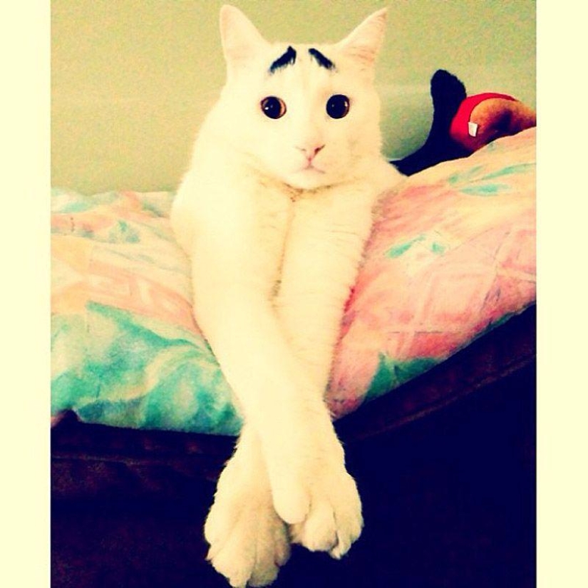 43 most touching Instagrams of 2013 43 most touching Instagrams of 2013