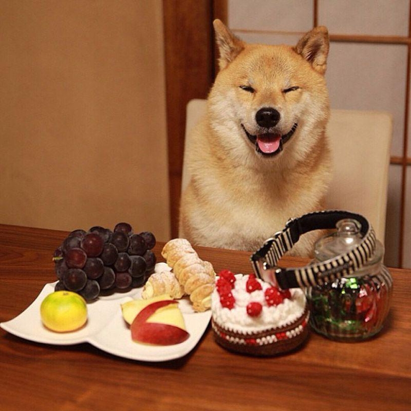 43 most touching Instagrams of 2013 43 most touching Instagrams of 2013