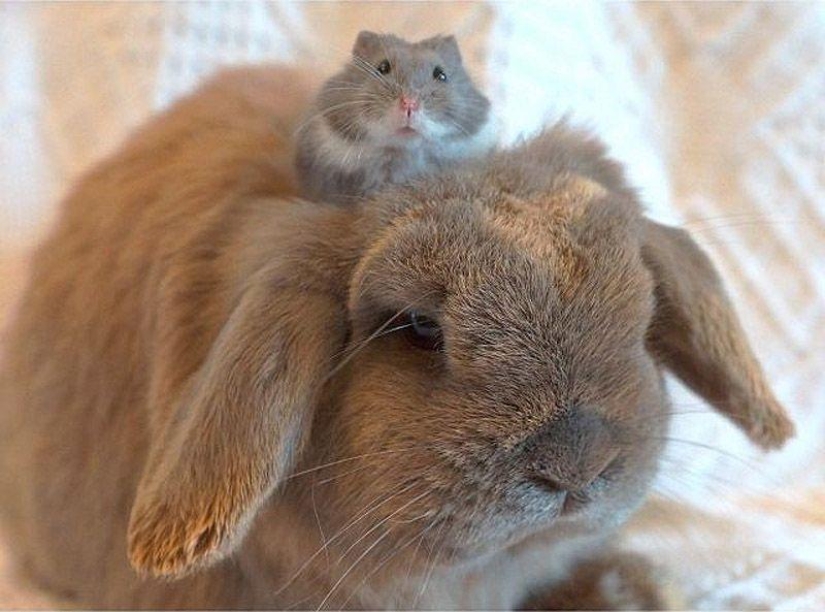 43 most touching Instagrams of 2013 43 most touching Instagrams of 2013