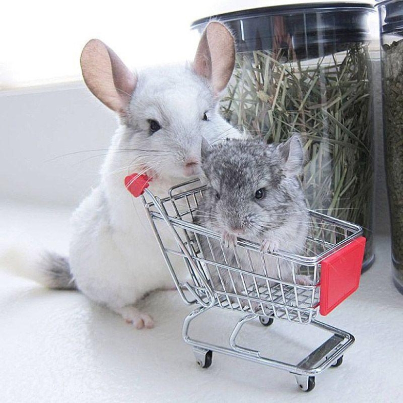 43 most touching Instagrams of 2013 43 most touching Instagrams of 2013