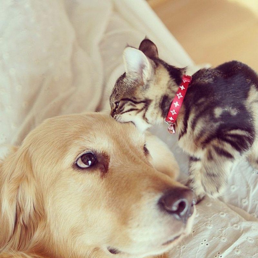 43 most touching Instagrams of 2013 43 most touching Instagrams of 2013