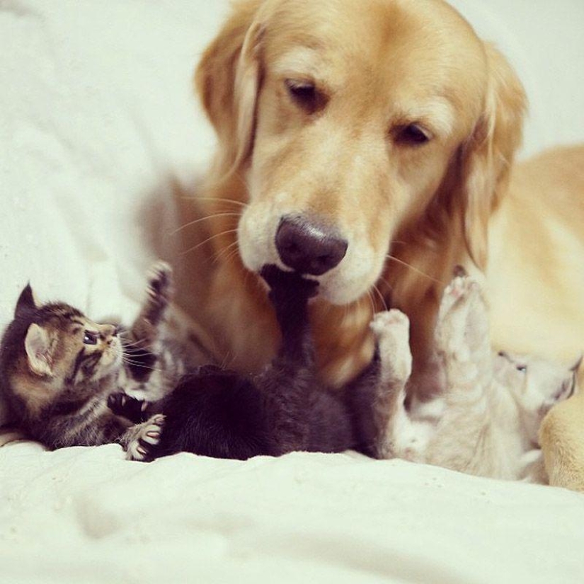 43 most touching Instagrams of 2013 43 most touching Instagrams of 2013