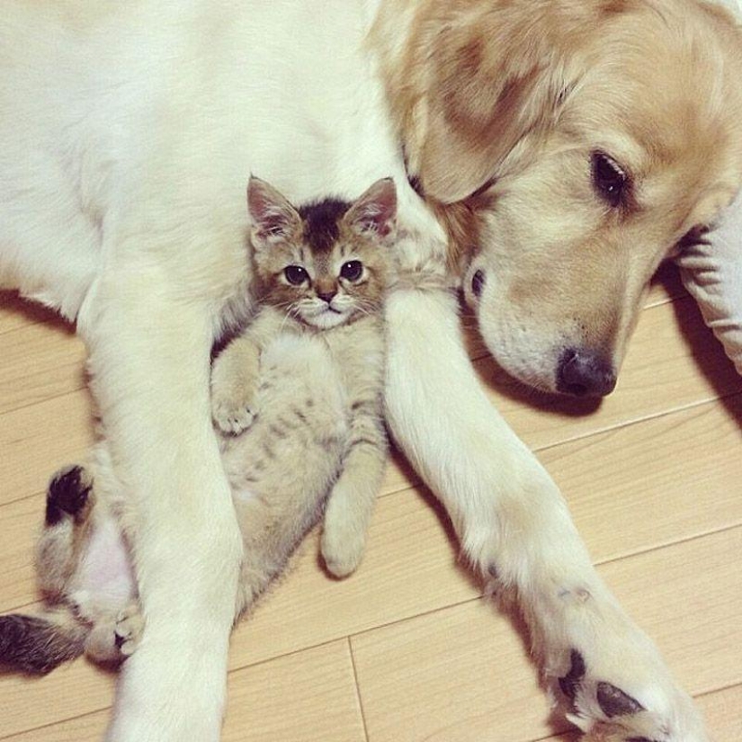 43 most touching Instagrams of 2013 43 most touching Instagrams of 2013