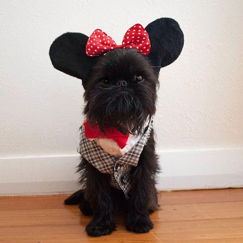 43 most touching Instagrams of 2013 43 most touching Instagrams of 2013