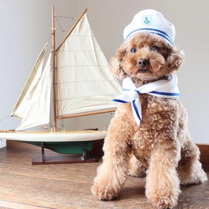 43 most touching Instagrams of 2013 43 most touching Instagrams of 2013