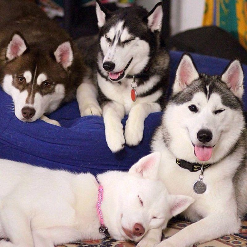 43 most touching Instagrams of 2013 43 most touching Instagrams of 2013