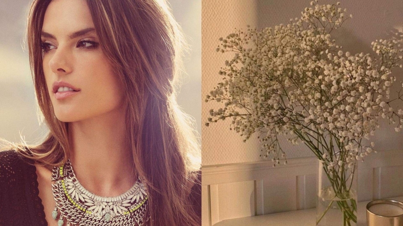 5 beauty hacks from famous Hollywood beauties that you should take note of 5 beauty hacks from famous Hollywood beauties that you should take note of