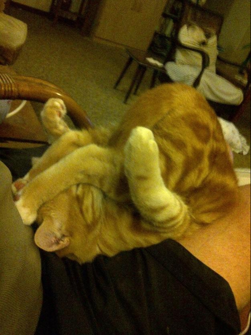 50 Animal Photos You Must See