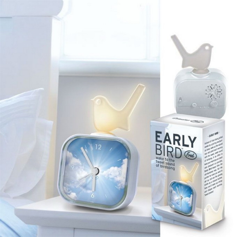 50 designer things that will make your life unusual