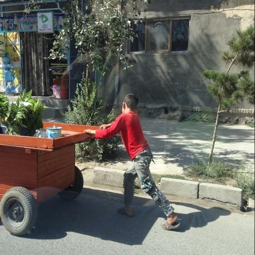 50 fotos de Instagram de Afganistán 50 fotos de Instagram de Afganistán