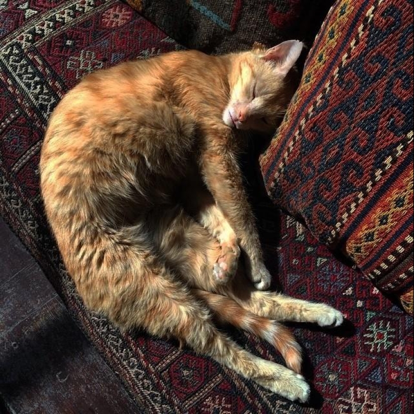 50 Instagram photos from Afghanistan