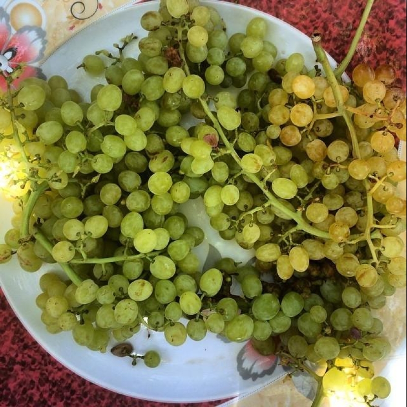 50 Instagram photos from Afghanistan