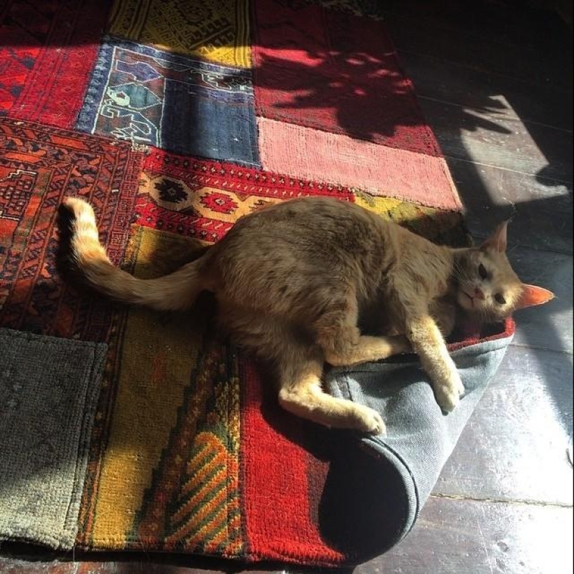 50 Instagram photos from Afghanistan