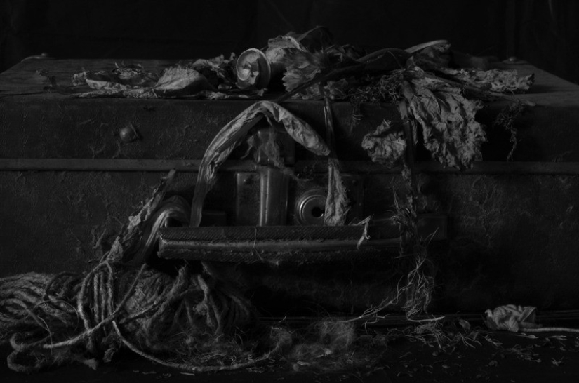 55 fotos para el 55 aniversario de Sergey Osmachkin - el mejor fotógrafo de Samara