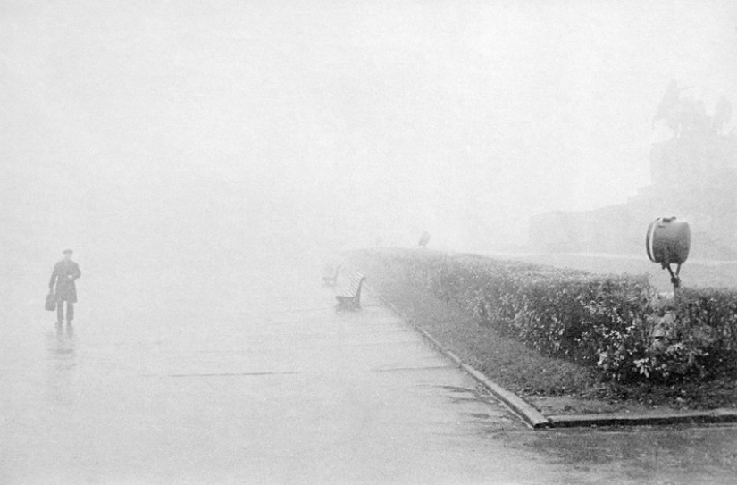 55 fotos para el 55 aniversario de Sergey Osmachkin - el mejor fotógrafo de Samara