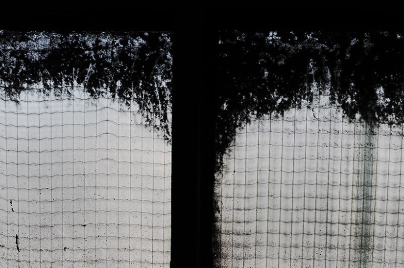 55 photos for the 55th anniversary of Sergey Osmachkin - the best Samara photographer