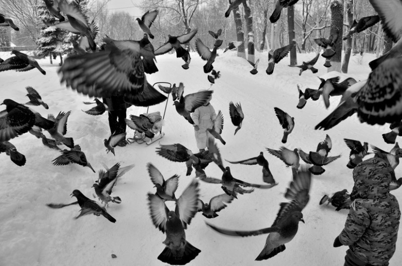 55 photos for the 55th anniversary of Sergey Osmachkin - the best Samara photographer