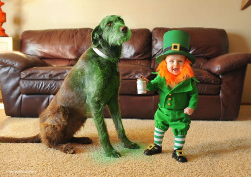 6-month-old leprechaun rages in Utah 6-month-old leprechaun rages in Utah
