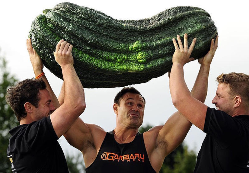 7 giant vegetables-record holders 7 giant vegetables-record holders