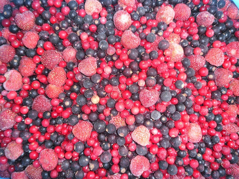 7 healthy winter foods 7 healthy winter foods