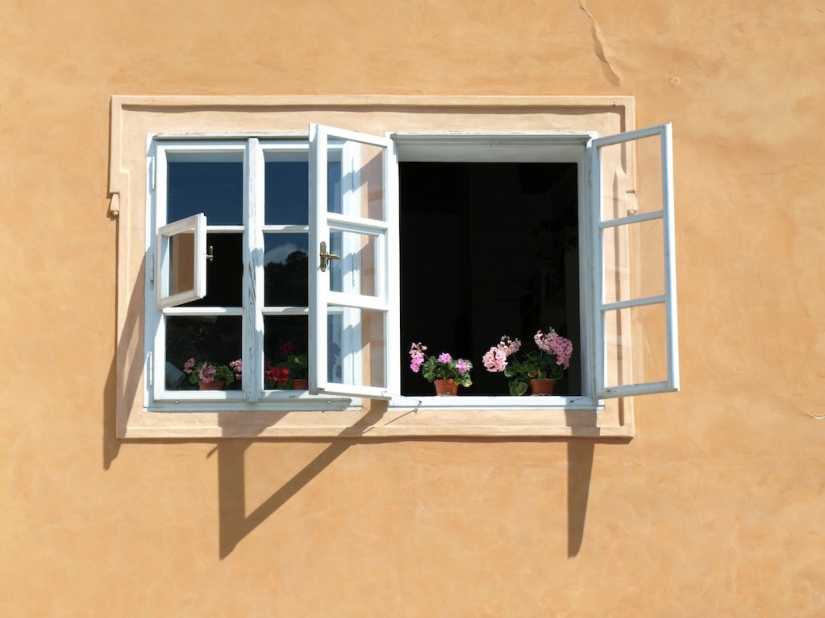 7 maneras "que no dan miedo" de perder peso