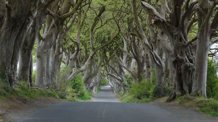 7 points on the map where you can feel like a hero of "Game of Thrones" 7 points on the map where you can feel like a hero of "Game of Thrones"