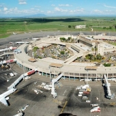 7 residentes del aeropuerto más famosos