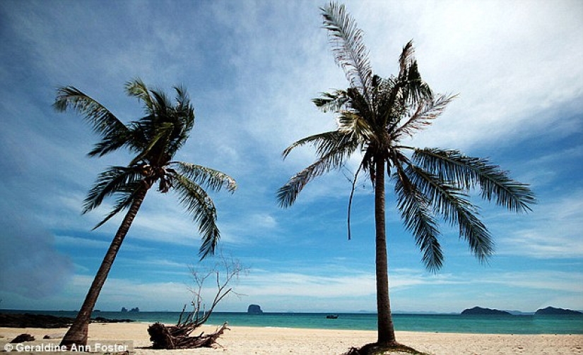 72-year-old grandmother is burning through retirement, traveling the world for the past 7 years 72-year-old grandmother is burning through retirement, traveling the world for the past 7 years