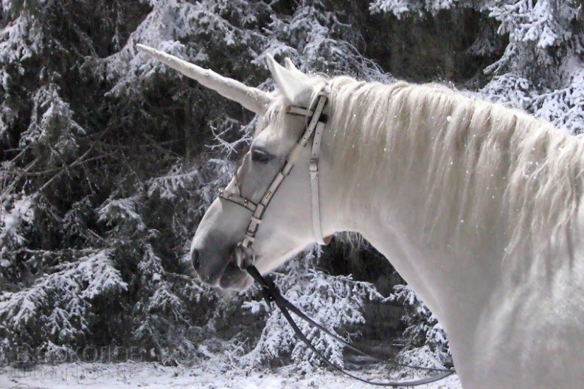 8 facts about North Korea that will surprise you