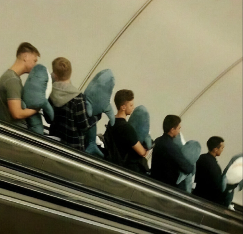 8 fotografías que plantean más preguntas que respuestas, publicadas por "Imágenes que necesitan más contexto" (Parte 2) 8 fotografías que plantean más preguntas que respuestas, publicadas por "Imágenes que necesitan más contexto" (Parte 2)