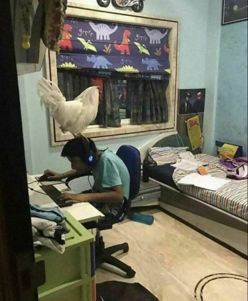 8 Pics That Raise More Questions Than Answers, Posted By “Images That Need More Context” (Part2) 8 Pics That Raise More Questions Than Answers, Posted By “Images That Need More Context” (Part2)