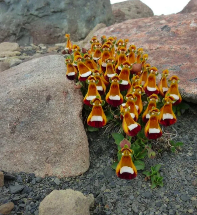 9 photos that can fool anyone 9 photos that can fool anyone