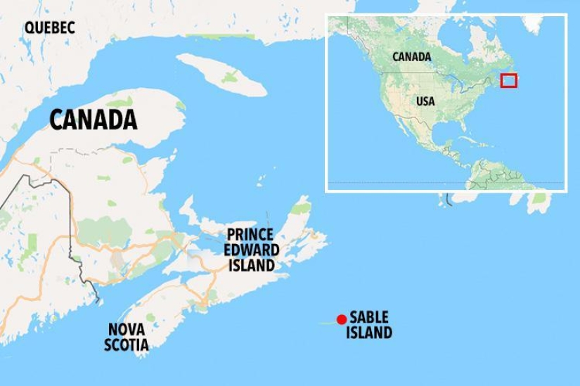 A 67-year-old woman has been living alone on a remote island for 40 years