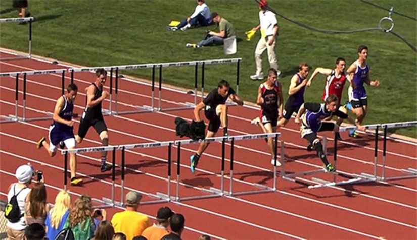 A black cat jumped onto the field during a rugby match and became a hero of the photojab