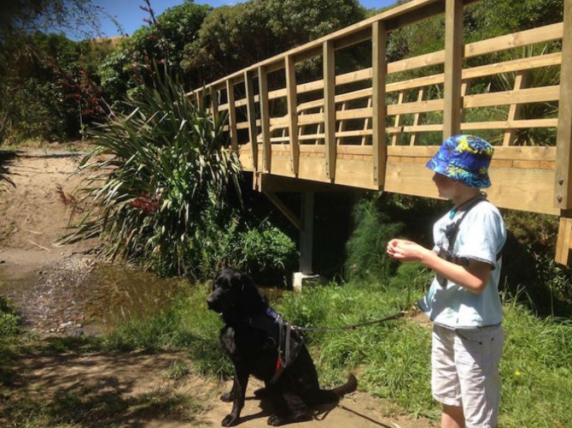 A boy with autism can only be helped by his dog friend A boy with autism can only be helped by his dog friend