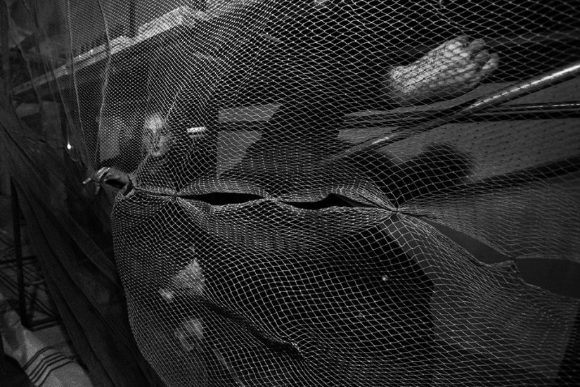 A collective portrait of a generation that is forced to live one day at a time