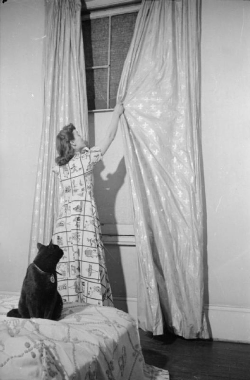 A day in the life of an Englishwoman on the 41st A day in the life of an Englishwoman on the 41st