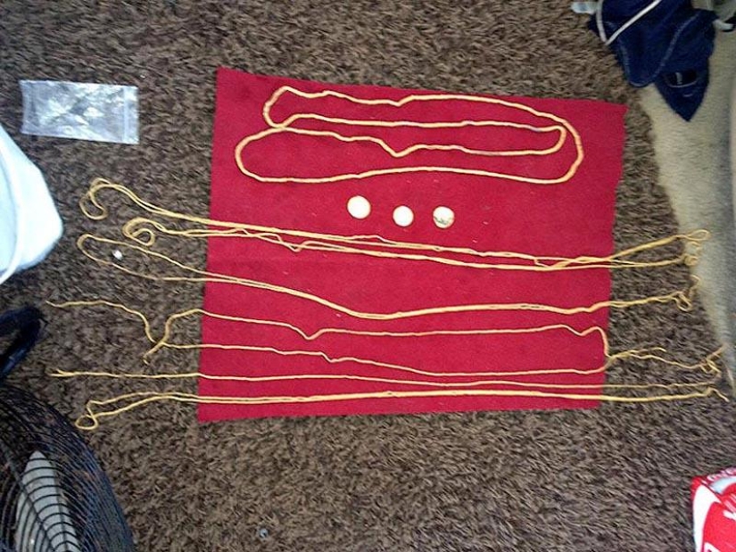 A family of treasure hunters in the United States found a chest of gold worth $ 300 thousand A family of treasure hunters in the United States found a chest of gold worth $ 300 thousand