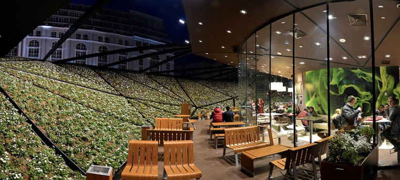 A futuristic McDonald's was built in Batumi