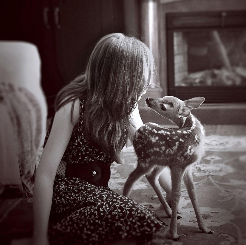 A girl and her deer - the story of an unusual pet