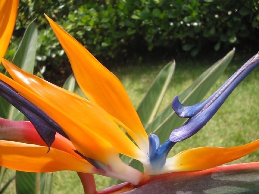 A great photo tour through the Amazon forests