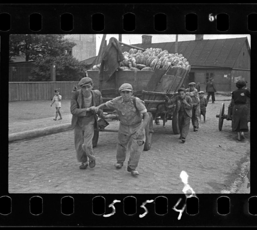 A Jewish photographer captured life in a ghetto in occupied Poland at his own risk A Jewish photographer captured life in a ghetto in occupied Poland at his own risk