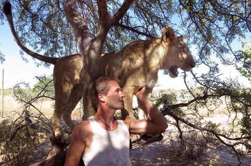 A lioness named Sirga