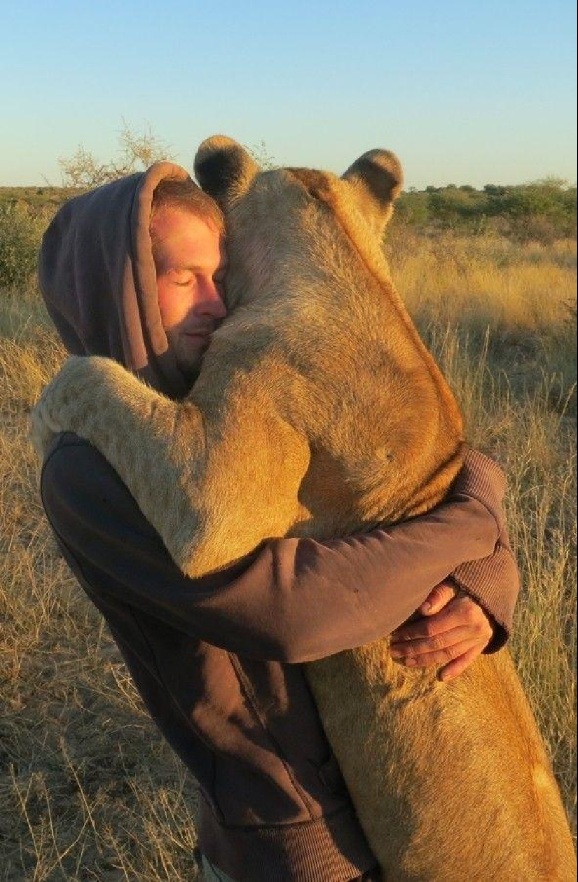 A lioness named Sirga