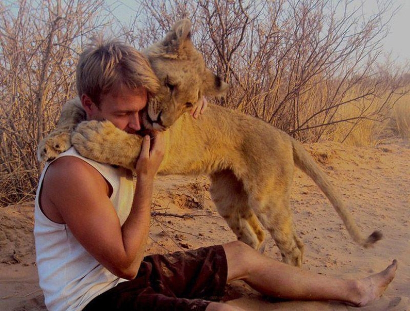 A lioness named Sirga