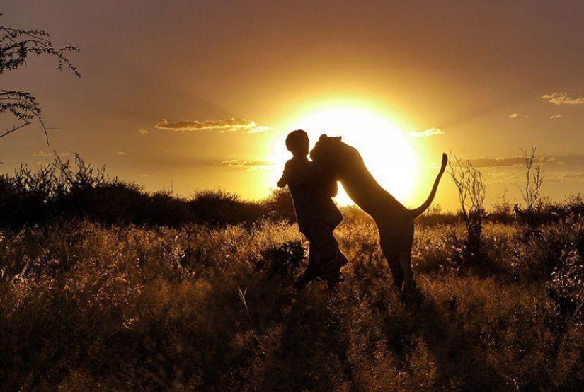 A lioness named Sirga