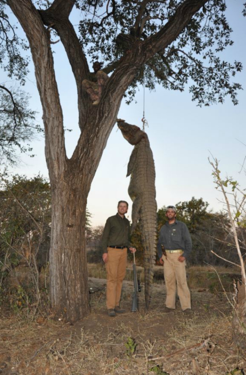 A los hijos de Donald Trump les encanta matar animales A los hijos de Donald Trump les encanta matar animales
