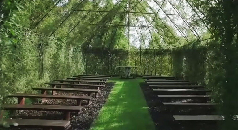 A man spent 4 years growing a church out of trees A man spent 4 years growing a church out of trees